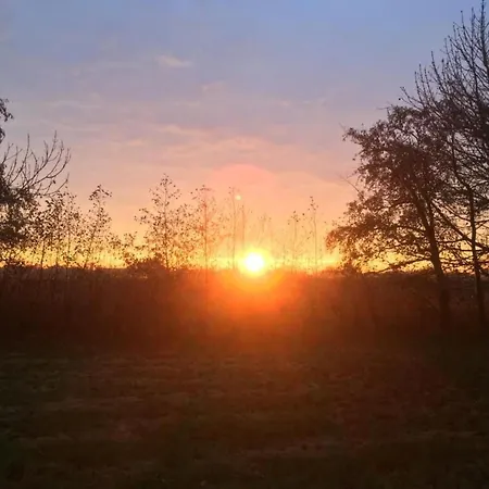 Hébergement de vacances Deichhof Tossens By Interhome *