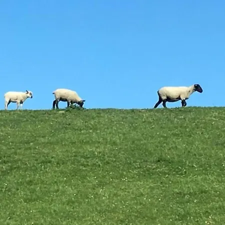 Hébergement de vacances Deichhof Tossens By Interhome