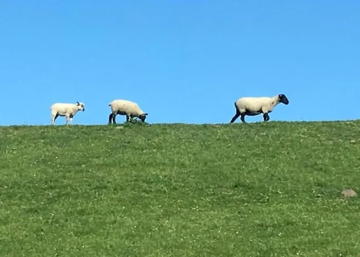 Hébergement de vacances Deichhof Tossens By Interhome