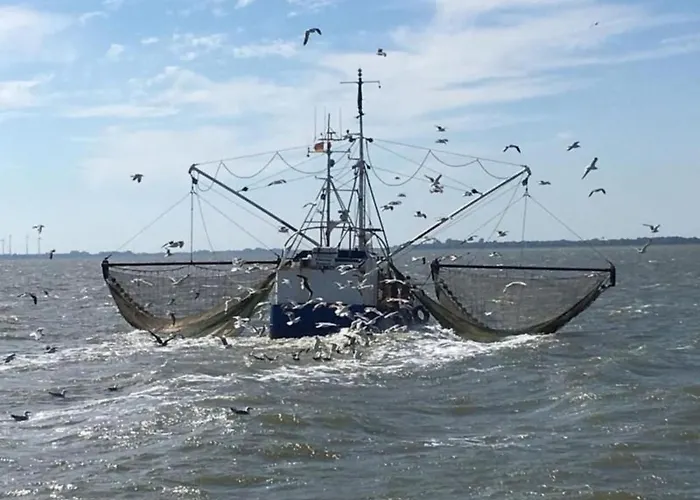 度假居 Deichhof Tossens By Interhome *